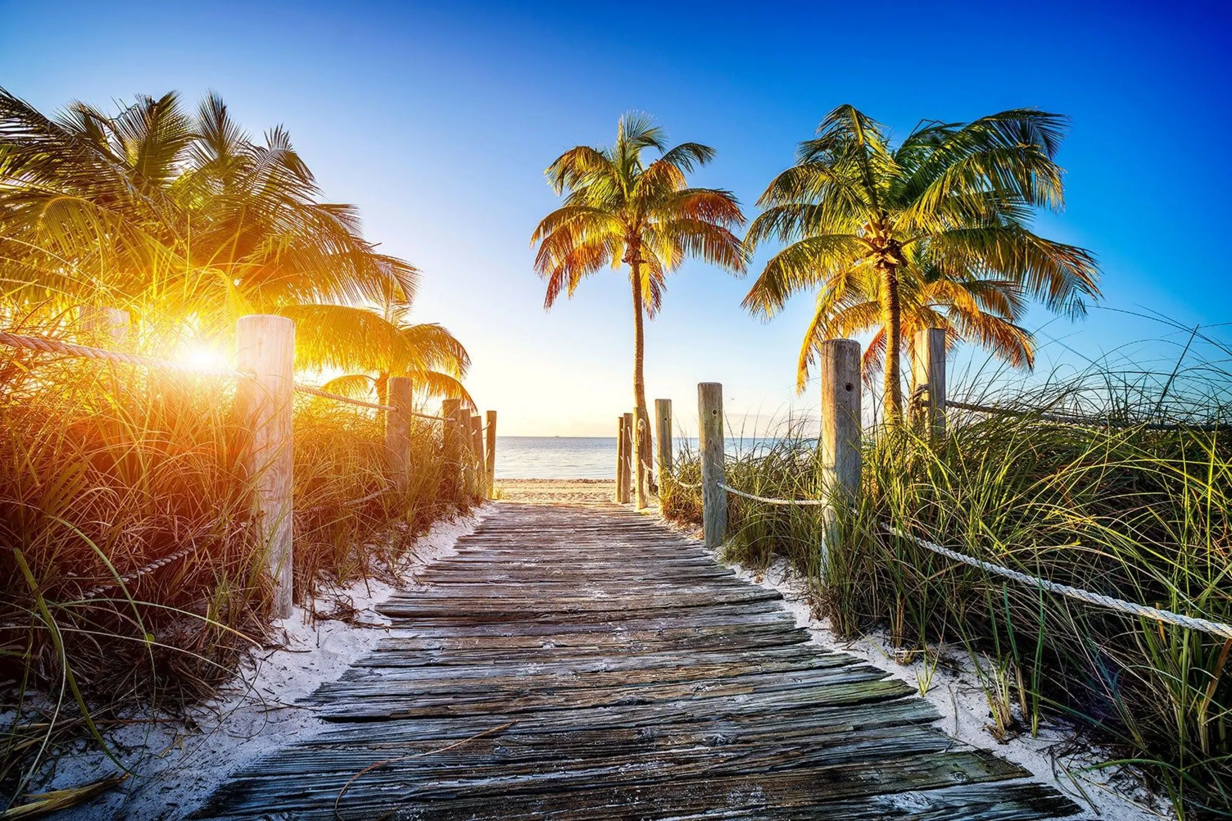 Florida LLC gründen 2026 – Steuern, Meldepflichten und Kosten im Fakten-Check