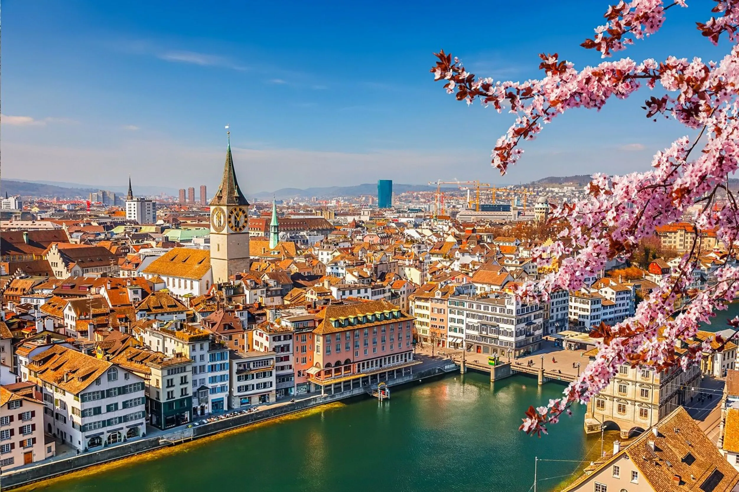 Mantelhandel-Verbot Schweiz 2025 – Art. 684a OR und rechtssichere Alternativen